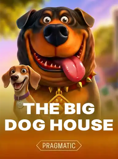 the big dog house